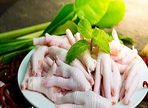 تصویر 3 از قیمت خرید پای مرغ صادراتی + فروش ویژه